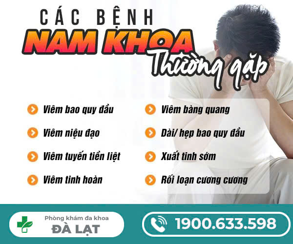 Hình ảnh minh họa